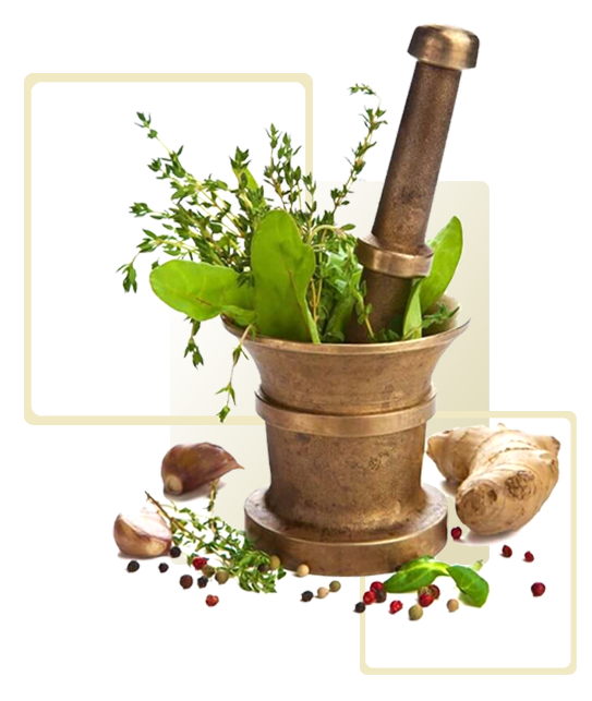 Ayurveda Clinic in Hisar
